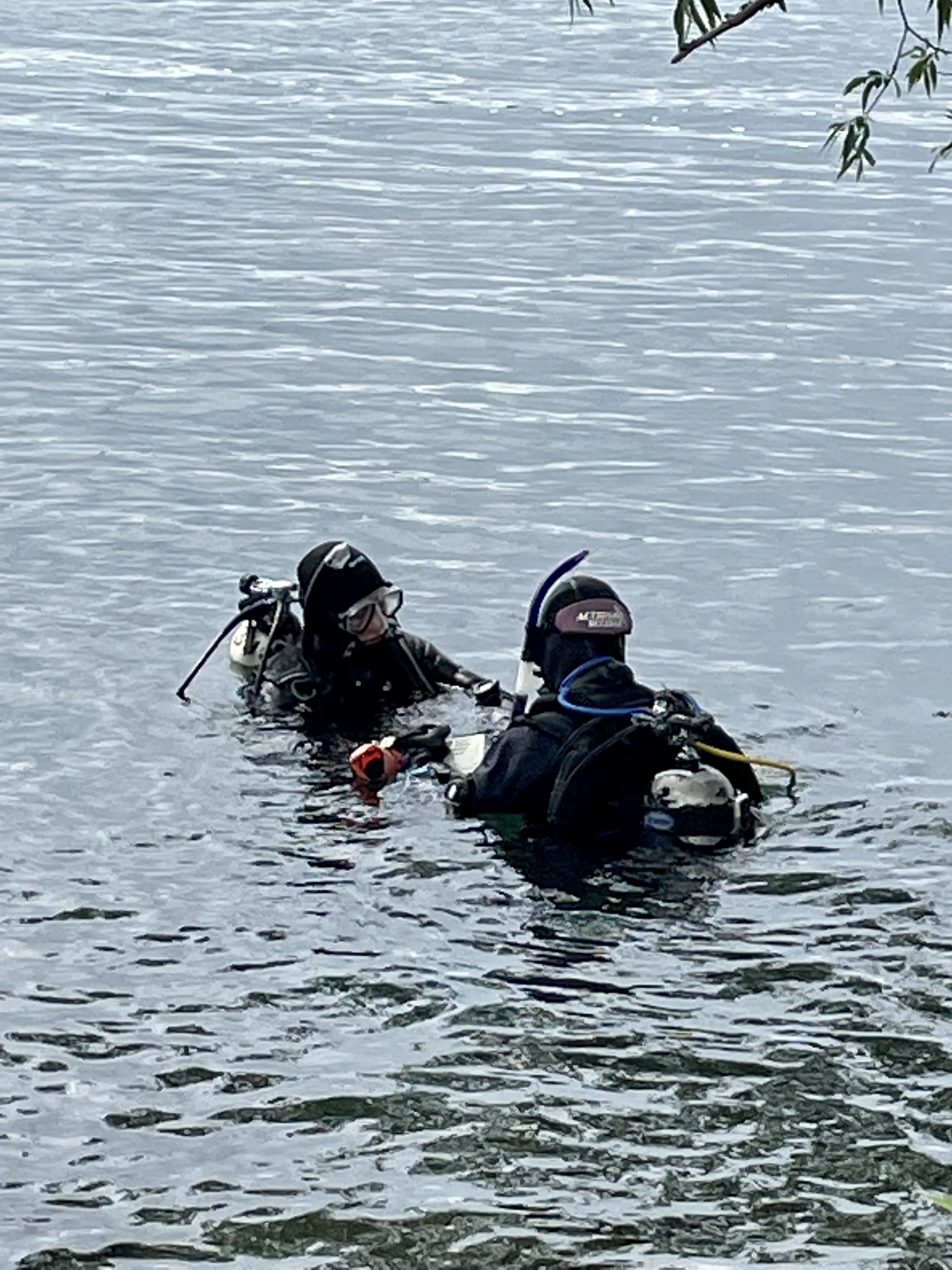 PADI